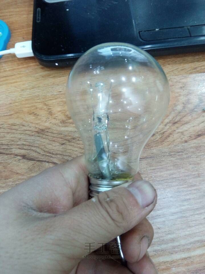 如何在灯泡中种花 第6步