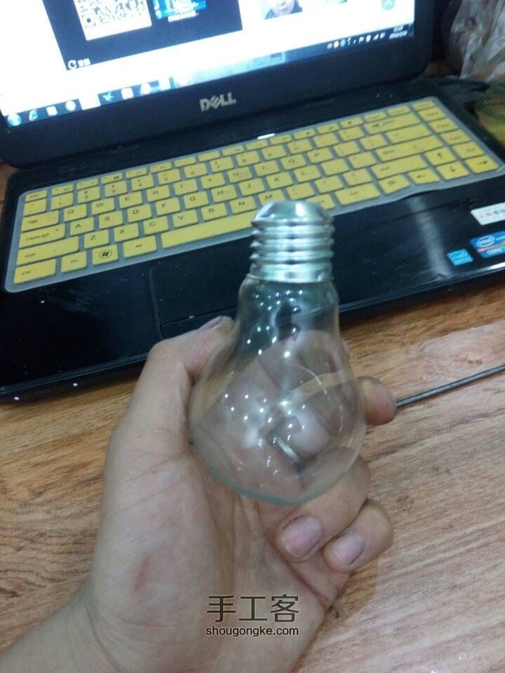 如何在灯泡中种花 第9步