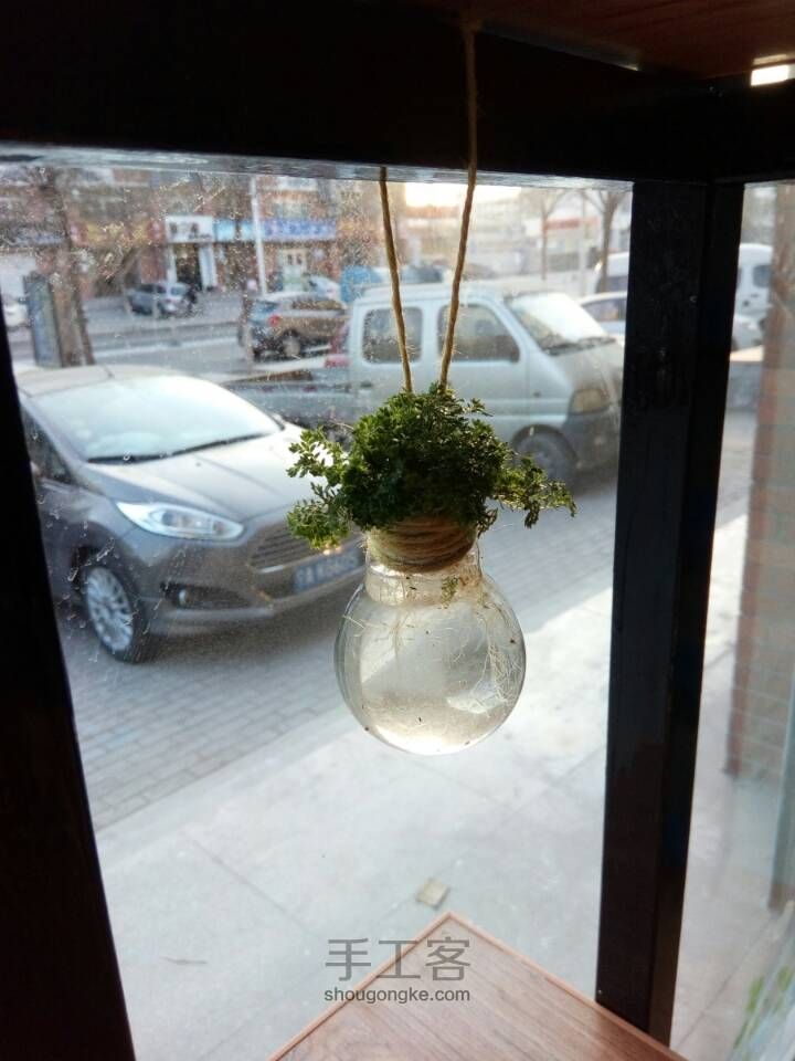 如何在灯泡中种花 第11步