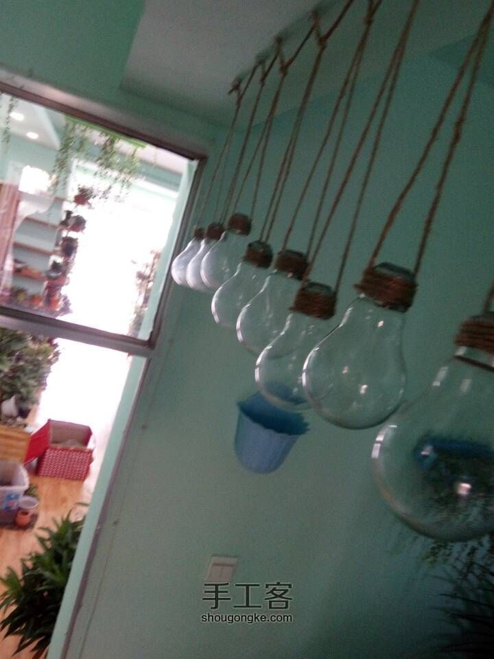 如何在灯泡中种花 第13步