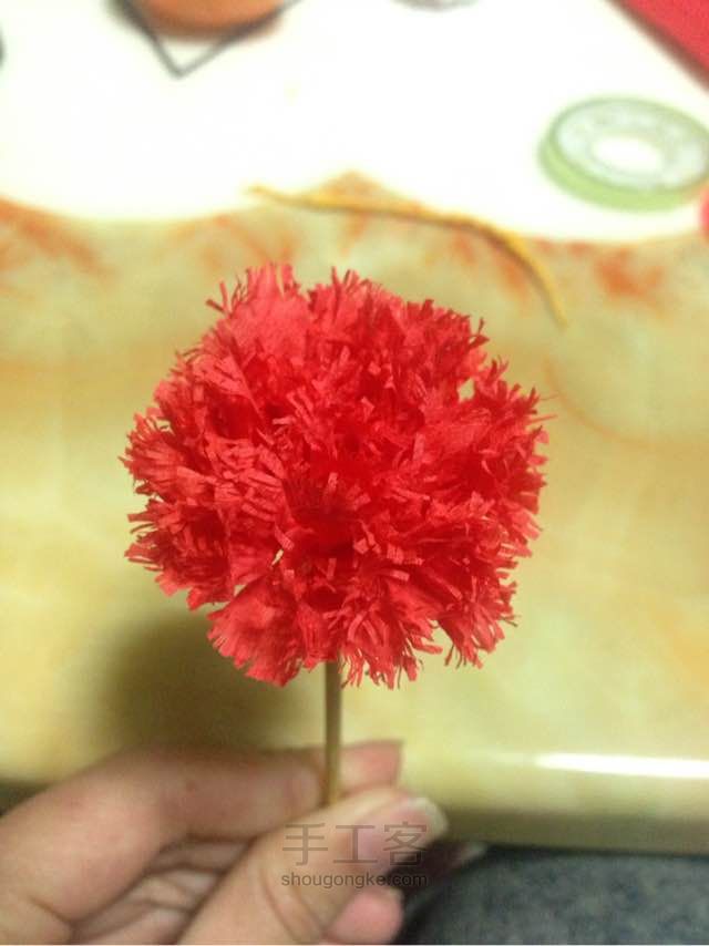 不做玫瑰，换康乃馨啦！ 第10步