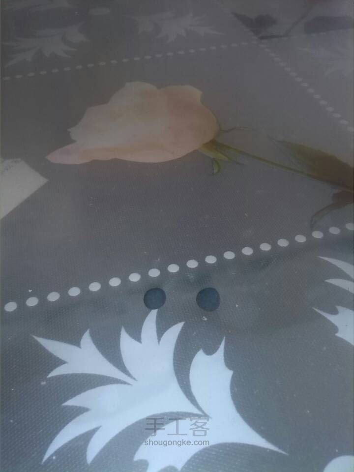 小章鱼 第6步