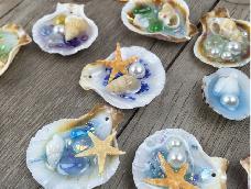 小贝壳小海螺小海星们与滴胶、琉璃、水晶的巧遇。冰姐微信：bingjietuan