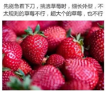 （转）如何手切草莓花 第1步