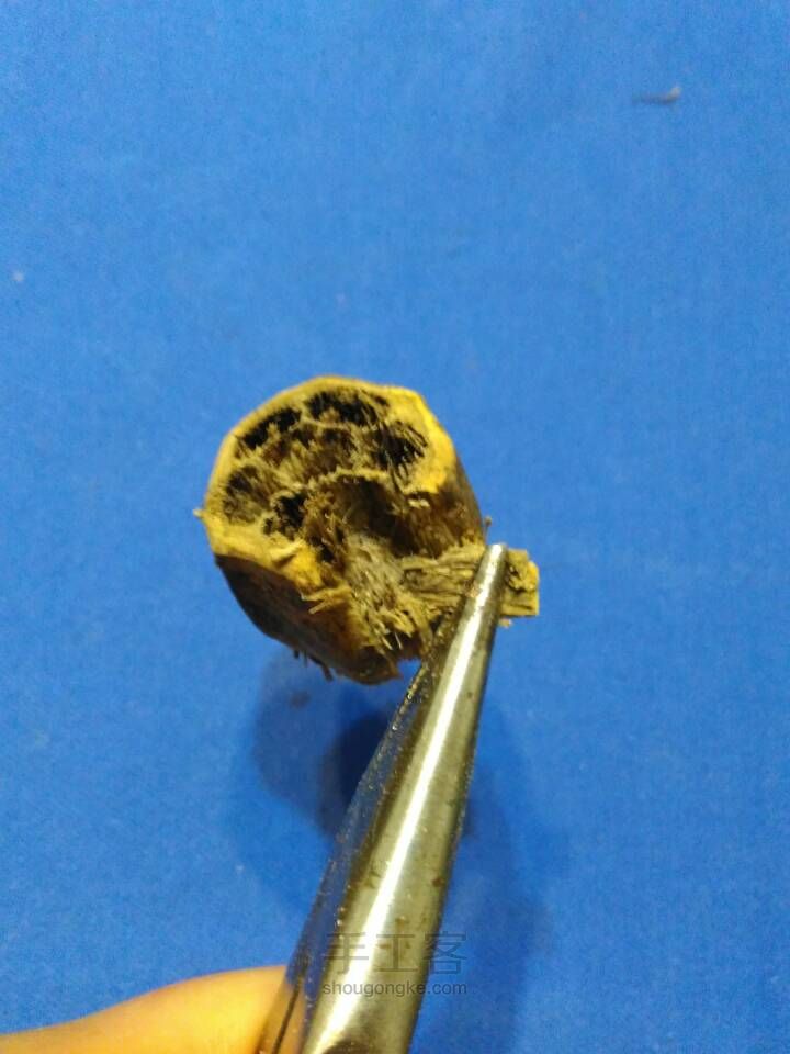滴血莲花制作 第5步