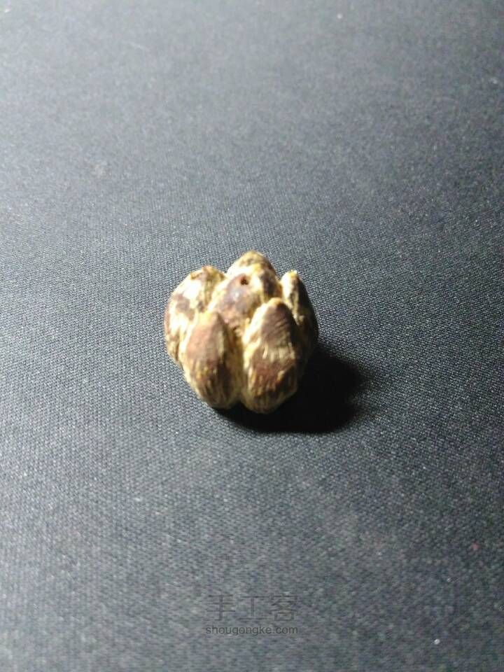 滴血莲花制作 第12步