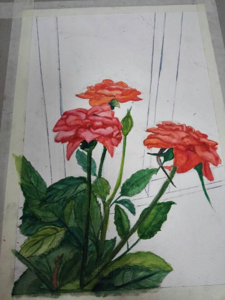 水彩画---玫瑰花🌹 第5步
