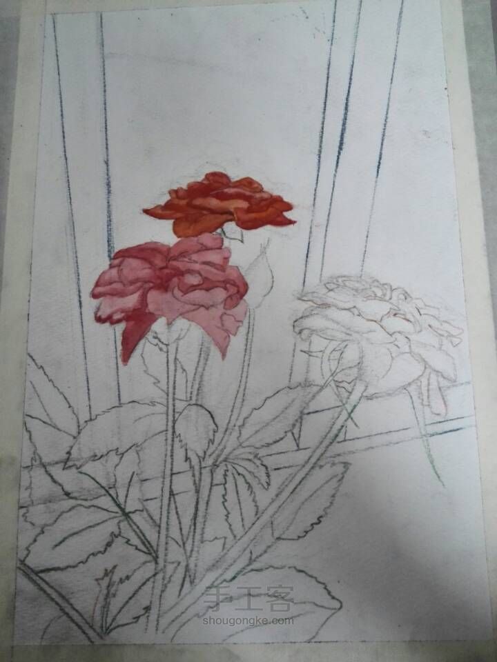 水彩画---玫瑰花🌹 第3步