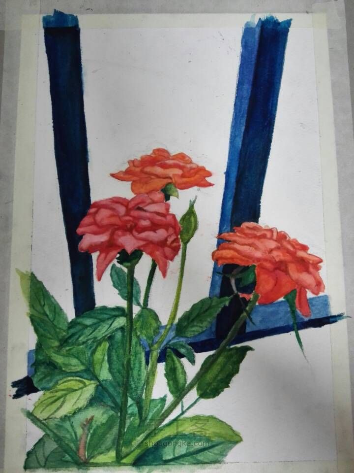 水彩画---玫瑰花🌹 第6步