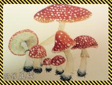 简单的蘑菇彩绘