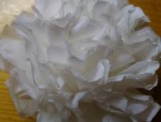 有很多欧尼们上次看了我发的《清明节-小白花》懒得买皱纹纸，so，今天发一个小白花2教程。保证接地气又好看。