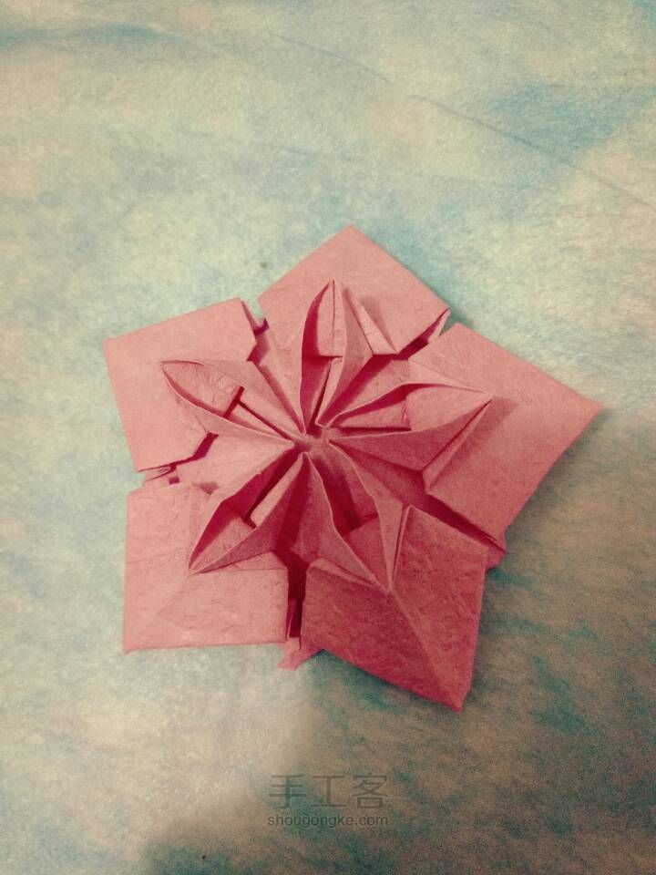 『成説』美腻的樱花🌸折纸教程 第40步