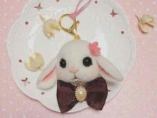 兔纸兔纸兔纸蹲，兔纸蹲完萝卜没啦⁽⁽ૢ(⁎❝ົཽω❝ົཽ⁎)✧
