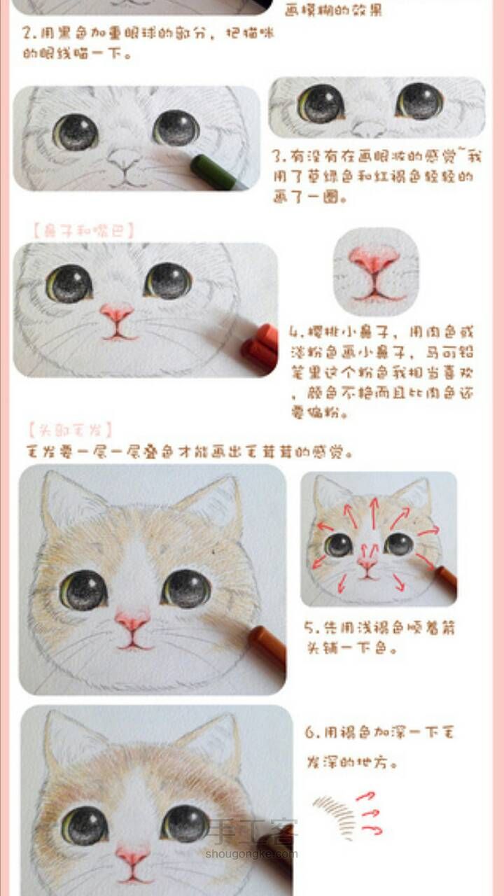 绘画萌猫小课堂！[转载] 第2步