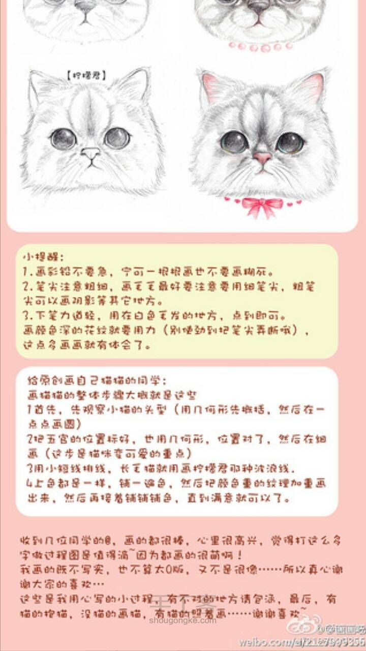 绘画萌猫小课堂！[转载] 第5步