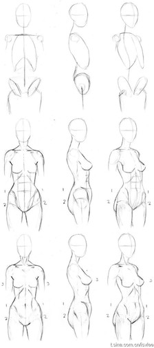 绘画人体教程(转的杂七杂八) 第7步