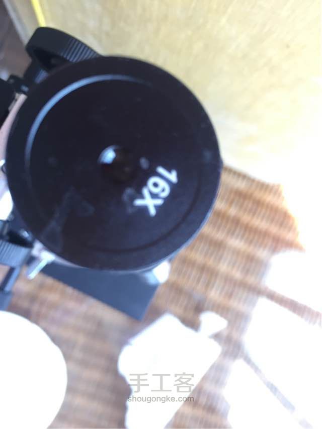 洋葱表皮标本 第5步