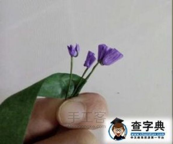 转 薰衣草 第7步