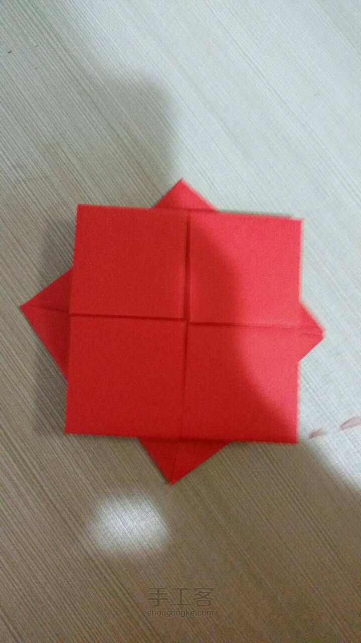 荷花(简) 第9步