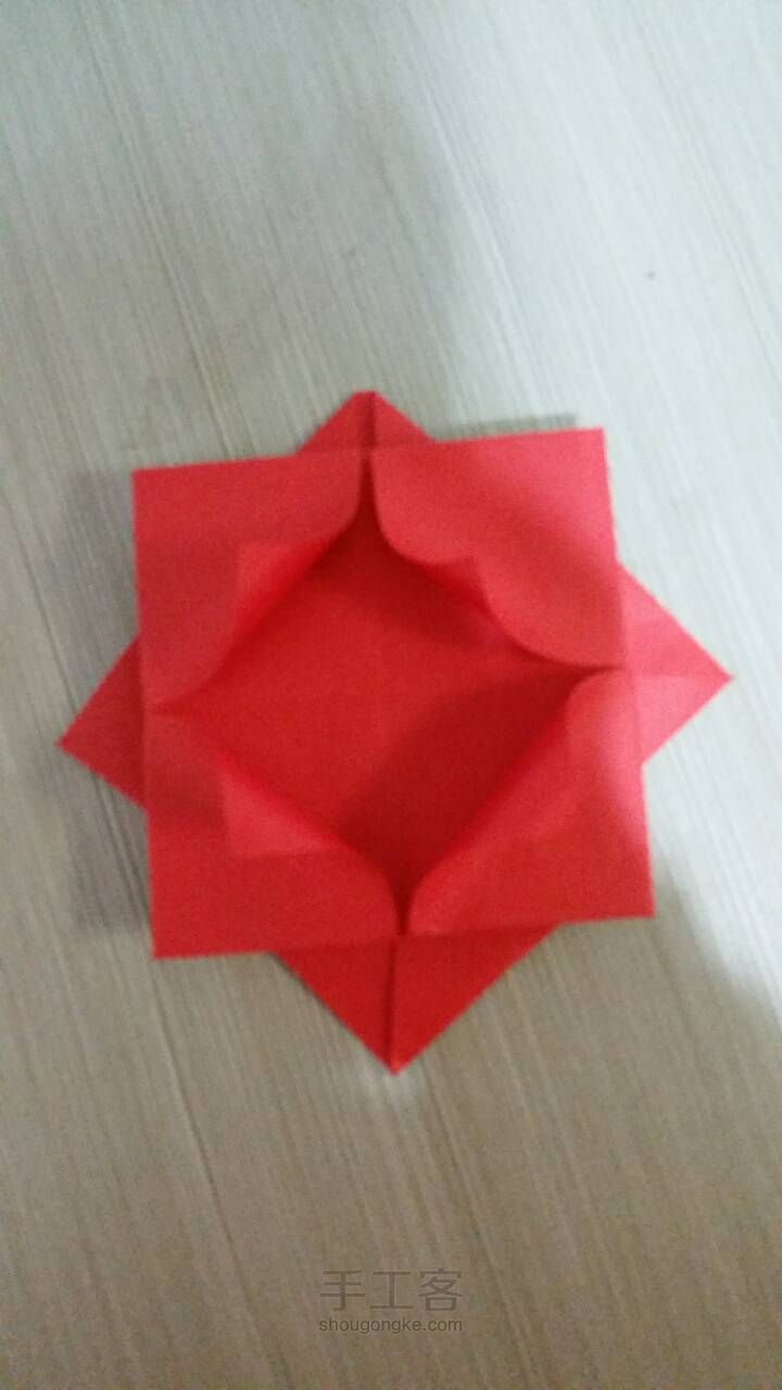 荷花(简) 第10步