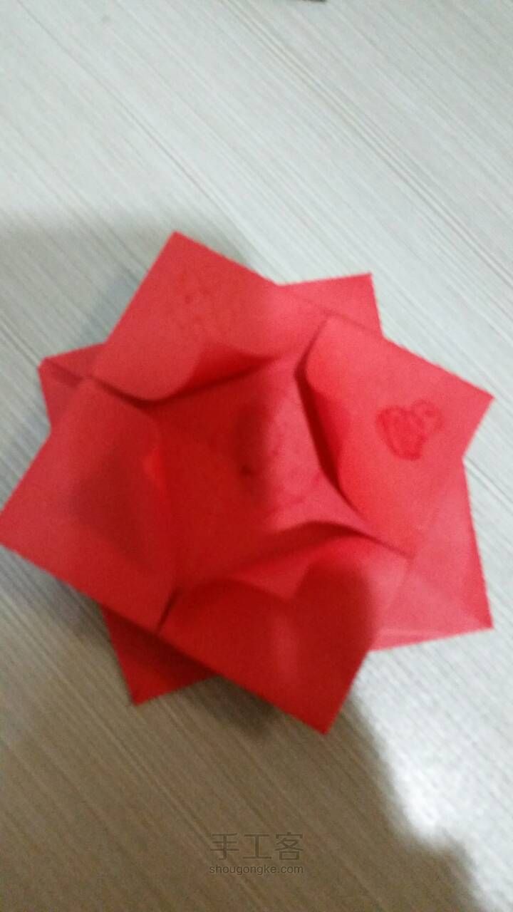 荷花(简) 第11步