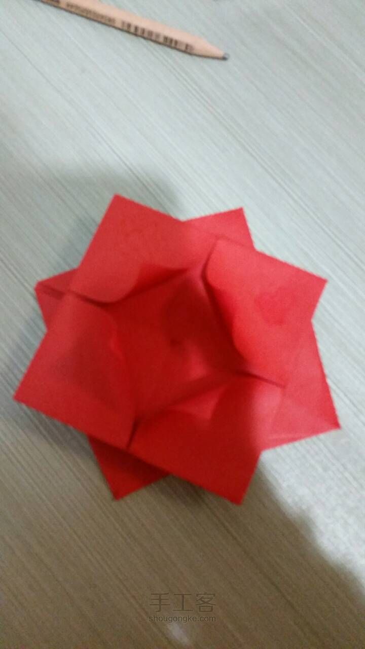 荷花(简) 第12步