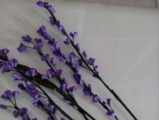 薰衣草的花语——等待爱情 薰衣草是一种馥郁的紫蓝色的小花。它就像它的所在地一样具有浪漫的情怀。