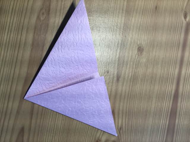 折纸-日本椿 第5步