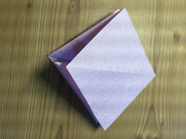 折纸-日本椿 第6步