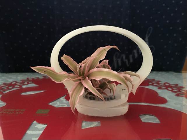 从发光手表到美美花篮的蜕变 第8步