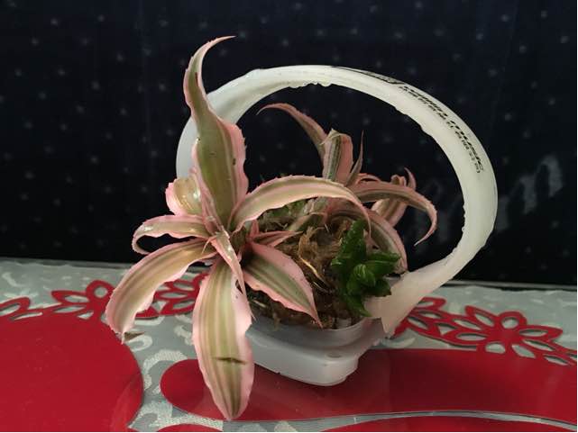 从发光手表到美美花篮的蜕变 第1步