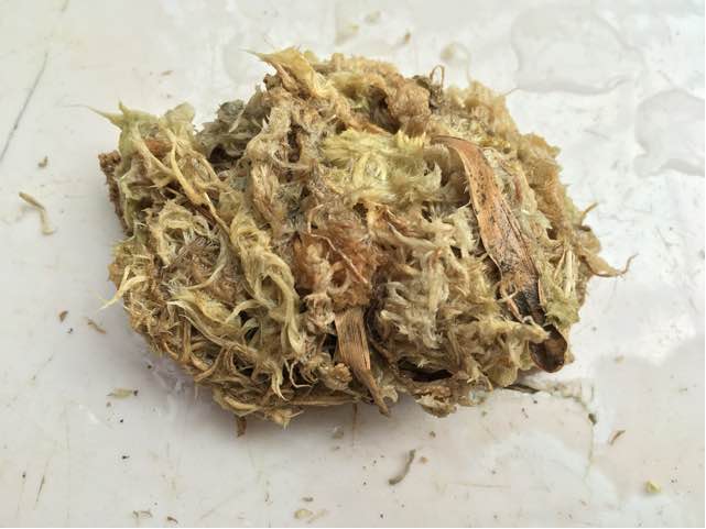 从发光手表到美美花篮的蜕变 第10步