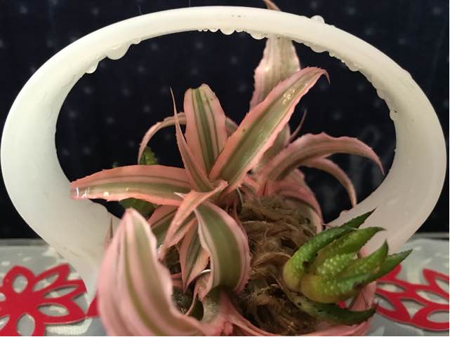 从发光手表到美美花篮的蜕变 第16步