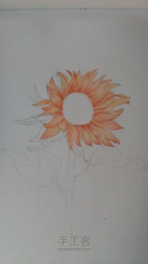 向日葵🌻彩铅画过程 第3步