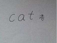 NO.7用cat画一只猫