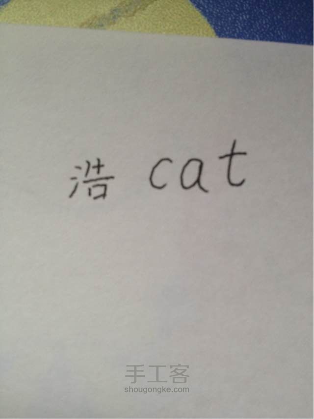 【小雨浩】教你用cat画一只猫 第1步