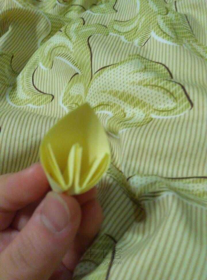 小樱花 第10步