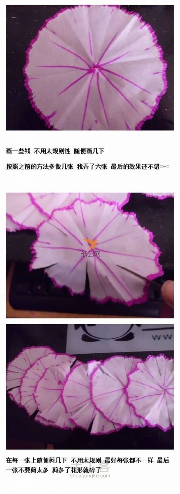 （转）纸康乃馨 第4步