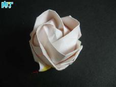 川崎玫瑰是一种折纸艺术中的玫瑰花作品，以其发明者川崎敏和（Toshikazu Kawasaki）先生的姓氏命名。 川崎玫瑰以形状逼真著称。纸玫瑰中，川崎玫瑰也属于是基础玫瑰，当你会折川崎以后，可以尝试折Phu Trans Rose(欧美玫瑰)，这种玫瑰也叫完美玫瑰，仿真度是最高的一种，折起来比川崎复杂点。