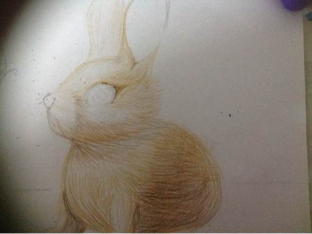 萌萌哒的手绘小兔子 第8步