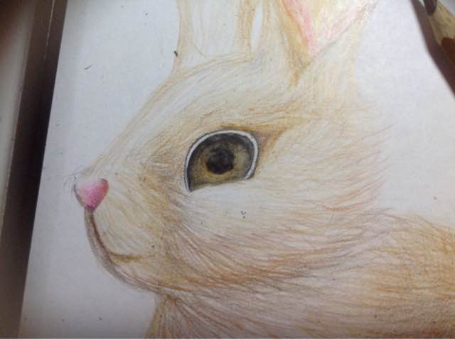 萌萌哒的手绘小兔子 第14步