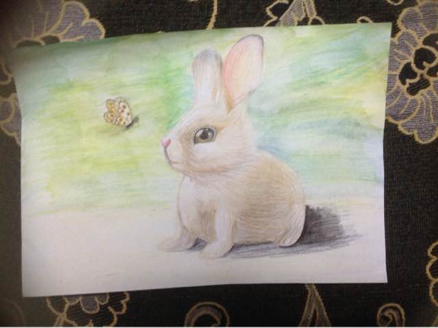 萌萌哒的手绘小兔子 第18步