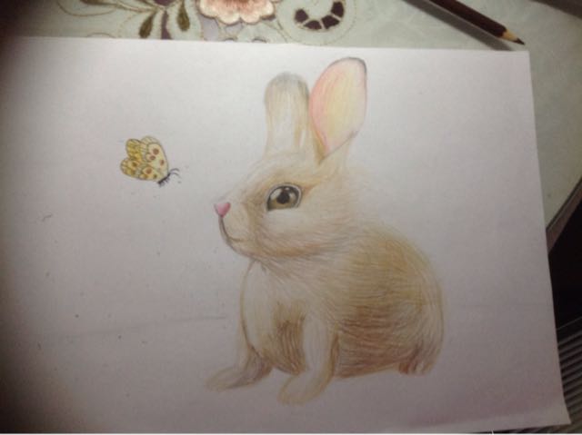 萌萌哒的手绘小兔子 第17步