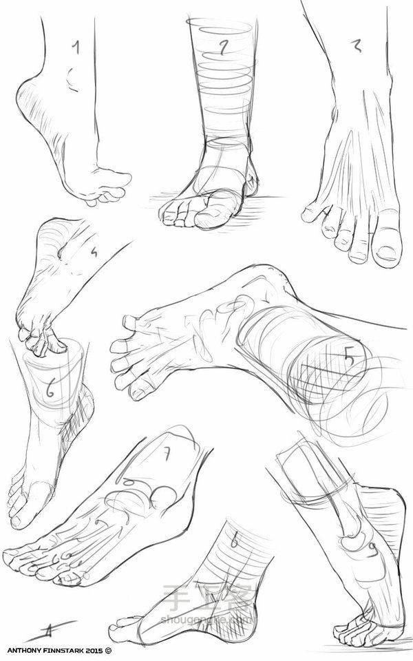 （转）各种脚的画法 第5步