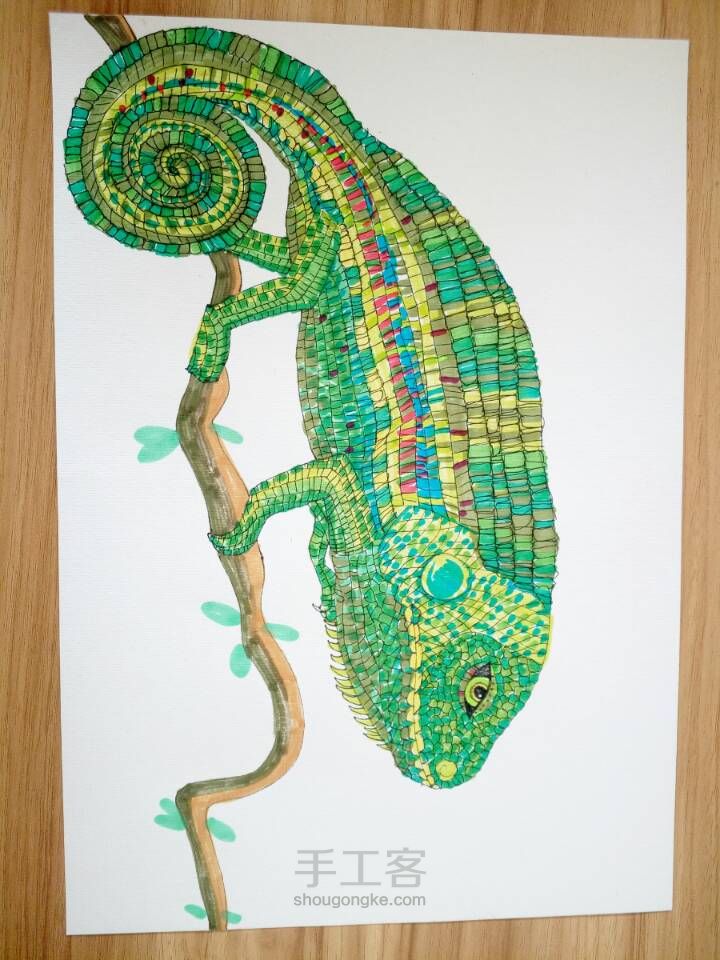 变色龙 宠物绘画 蜥蜴手绘 第7步