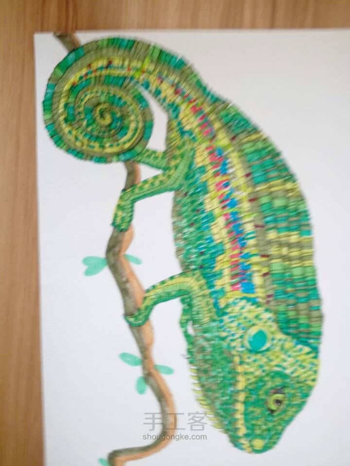 变色龙 宠物绘画 蜥蜴手绘 第6步