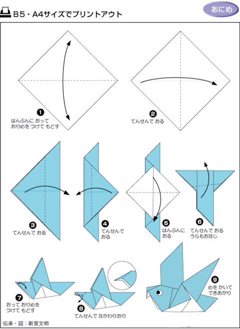 鸽子 第2步