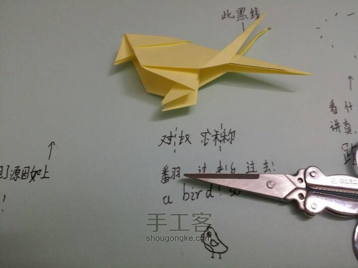 《转》漂亮小鸟🐦一只 第13步