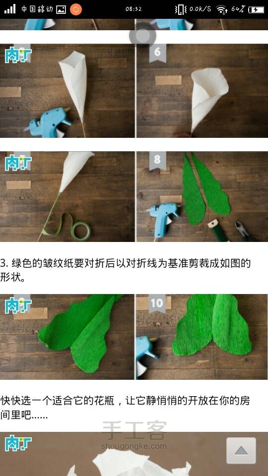 （转）静静开放的马蹄莲 第3步