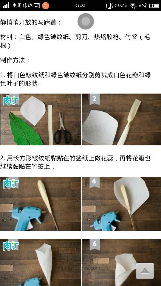 （转）静静开放的马蹄莲 第2步